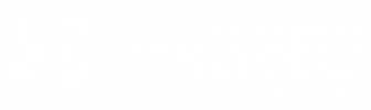 Inspekt_Logo_White